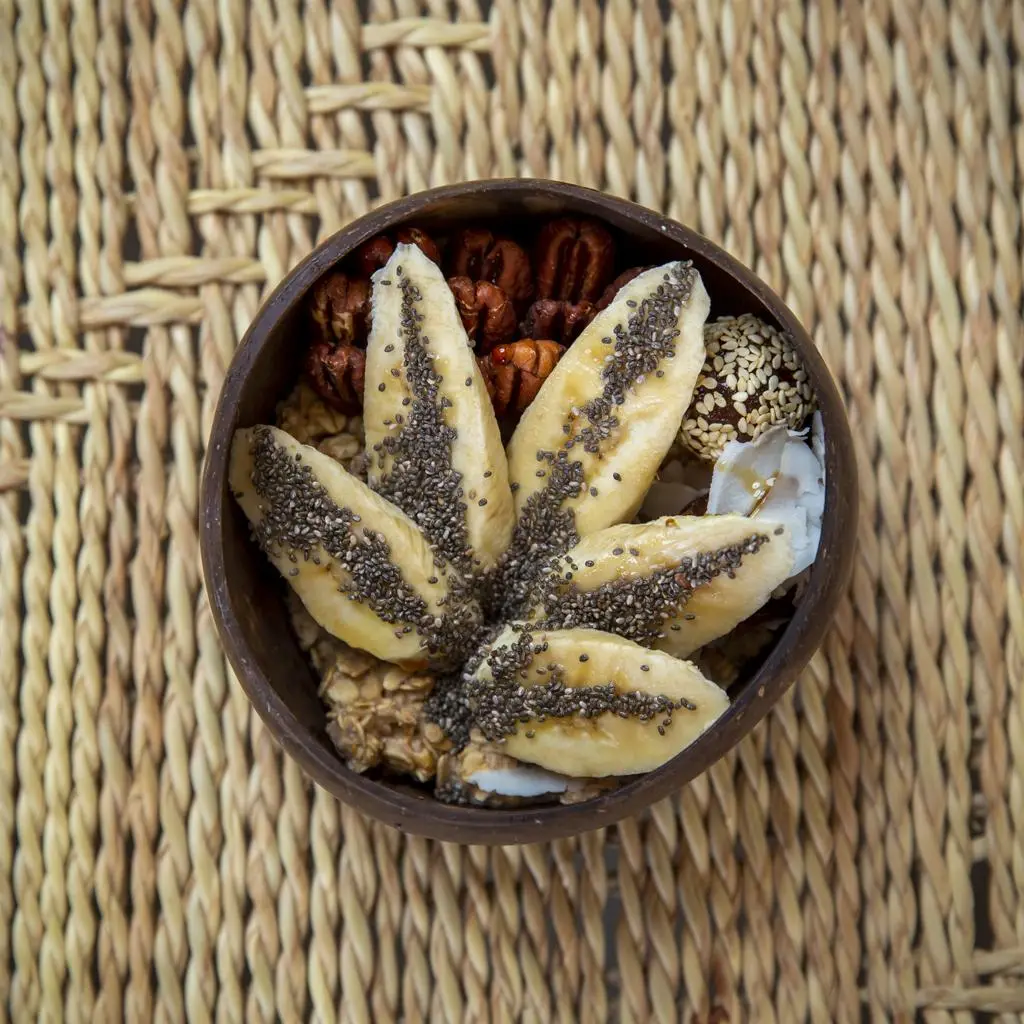 بالم سبرينقز